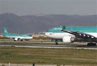 Cele -Noisy Spotters. Click to see full size photo