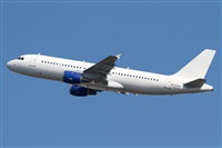 Cele -Noisy Spotters. Click to see full size photo