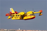 ©Bernardo Puente Fernández-Gran Canaria Spotters - AIRE.org. Click to see full size photo