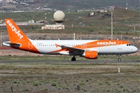 ©Alfonso Solís - Asociación Canary Islands Spotting. Click to see full size photo ©Alfonso Solís - Asociación Canary Islands Spotting. Click to see full size photo