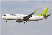 Cele -Noisy Spotters. Click to see full size photo