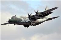 �Patricio. Click to see full size photo
