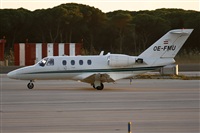 Cele -Noisy Spotters. Click to see full size photo
