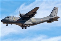 ©Adolfo Bento - Gran Canaria Spotters. Click to see full size photo ©Adolfo Bento - Gran Canaria Spotters. Click to see full size photo