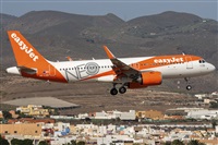 ©Adolfo Bento - Gran Canaria Spotters. Click to see full size photo ©Adolfo Bento - Gran Canaria Spotters. Click to see full size photo