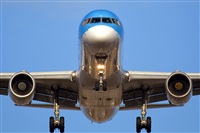 ©Calco7 - Asociación Canary Islands Spotting. Click to see full size photo ©Calco7 - Asociación Canary Islands Spotting. Click to see full size photo