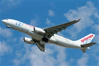 Cele -Noisy Spotters. Click to see full size photo