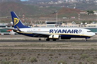 Alfonso Sols - Asociacin Canary Islands Spotting. Click to see full size photo