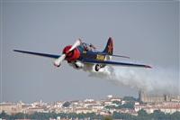 Carlos Moreira  *  PortugalSpotters.org. Click to see full size photo