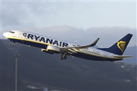 ©Saimon J Rodriguez   -   Canary Islands Spotting. Click to see full size photo