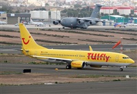 ©Alejandro Hernández León - Gran Canaria Spotters. Click to see full size photo ©Alejandro Hernández León - Gran Canaria Spotters. Click to see full size photo