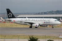 Chalo Canary Islands Spotting. Click to see full size photo