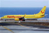 Luciano Fumero( freedom spotter)canary island spotting. Click to see full size photo