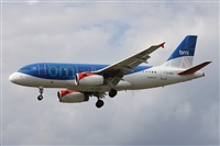 ©Alfonso Solís - Asociación Canary Islands Spotting. Click to see full size photo ©Alfonso Solís - Asociación Canary Islands Spotting. Click to see full size photo
