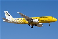©Saimon J Rodriguez - Canary Islands Spotting. Click to see full size photo ©Saimon J Rodriguez - Canary Islands Spotting. Click to see full size photo