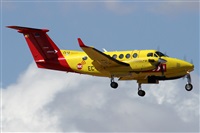 Alfonso Sols - Asociacin Canary Islands Spotting. Click to see full size photo