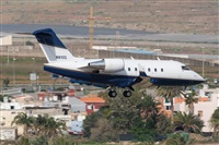 ©Adolfo Bento - Gran Canaria Spotters. Click to see full size photo ©Adolfo Bento - Gran Canaria Spotters. Click to see full size photo