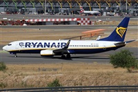 ©Alfonso Solís - Asociación Canary Islands Spotting. Click to see full size photo ©Alfonso Solís - Asociación Canary Islands Spotting. Click to see full size photo