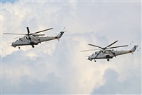 ©Dmitry Yakovlev - RuSpotters Team. Click to see full size photo ©Dmitry Yakovlev - RuSpotters Team. Click to see full size photo
