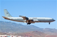 Luciano Fumero( freedom spotter)canary island spotting. Click to see full size photo