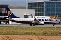 Nacho Rodriguez - Canary Islands Spotting. Click to see full size photo