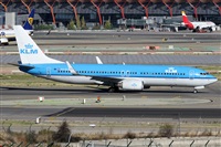 ©Alfonso Solís - Asociación Canary Islands Spotting. Click to see full size photo ©Alfonso Solís - Asociación Canary Islands Spotting. Click to see full size photo