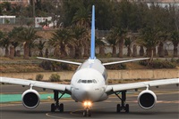 ©J. Victor Vega-Gran Canaria Spotters. Click to see full size photo ©J. Victor Vega-Gran Canaria Spotters. Click to see full size photo