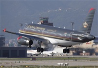 Cele -Noisy Spotters. Click to see full size photo