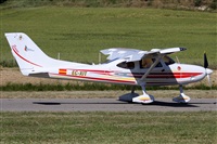 Cele -Noisy Spotters. Click to see full size photo