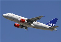 Cele -Noisy Spotters. Click to see full size photo