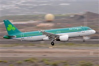 Miguel A. gueda Rguez.  (CANARY ISLANDS SPOTTING). Click to see full size photo