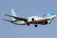 ©Alfonso Solís - Asociación Canary Islands Spotting. Click to see full size photo ©Alfonso Solís - Asociación Canary Islands Spotting. Click to see full size photo