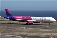©Alfonso Solís - Asociación Canary Islands Spotting. Click to see full size photo ©Alfonso Solís - Asociación Canary Islands Spotting. Click to see full size photo
