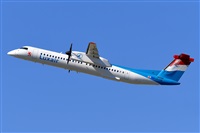 Miguel A. gueda Rguez.  (CANARY ISLANDS SPOTTING). Click to see full size photo