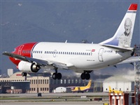 Cele -Noisy Spotters. Click to see full size photo