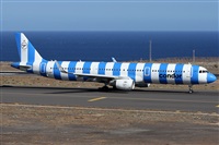 Alfonso Sols - Asociacin Canary Islands Spotting. Click to see full size photo