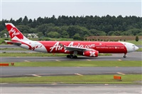 Cele -Noisy Spotters. Click to see full size photo