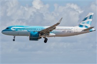 ©Adolfo Bento - Gran Canaria Spotters. Click to see full size photo ©Adolfo Bento - Gran Canaria Spotters. Click to see full size photo