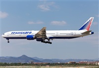 Miguel Alia - Noisy Spotters. Click to see full size photo