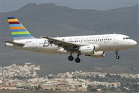 ©Adolfo Bento - Gran Canaria Spotters. Click to see full size photo ©Adolfo Bento - Gran Canaria Spotters. Click to see full size photo