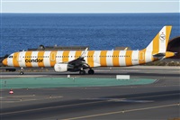 ©Adolfo Bento - Gran Canaria Spotters. Click to see full size photo ©Adolfo Bento - Gran Canaria Spotters. Click to see full size photo