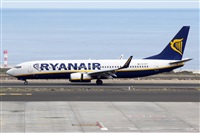 ©Nacho Rodriguez - Canary Islands Spotting. Click to see full size photo ©Nacho Rodriguez - Canary Islands Spotting. Click to see full size photo