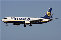 ©Alfonso Solís - Asociación Canary Islands Spotting. Click to see full size photo ©Alfonso Solís - Asociación Canary Islands Spotting. Click to see full size photo