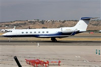 ©Alfonso Solís - Asociación Canary Islands Spotting. Click to see full size photo ©Alfonso Solís - Asociación Canary Islands Spotting. Click to see full size photo