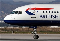 Cele -Noisy Spotters. Click to see full size photo