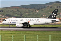 ©Nacho Rodriguez - Canary Islands Spotting. Click to see full size photo ©Nacho Rodriguez - Canary Islands Spotting. Click to see full size photo