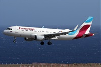 ©Alfonso Solís - Asociación Canary Islands Spotting. Click to see full size photo ©Alfonso Solís - Asociación Canary Islands Spotting. Click to see full size photo