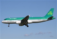 Cele -Noisy Spotters. Click to see full size photo