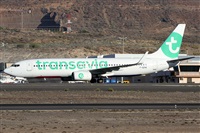 Alfonso Sols - Asociacin Canary Islands Spotting. Click to see full size photo