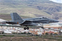 Bartolom Fernndez - Gran Canaria Spotters. Click to see full size photo